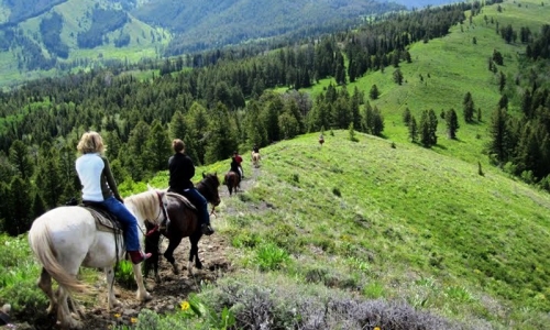 Jackson Hole Horse Pack Trip