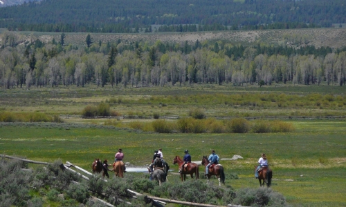 Jackson Hole Wyoming Horse Pack Trip