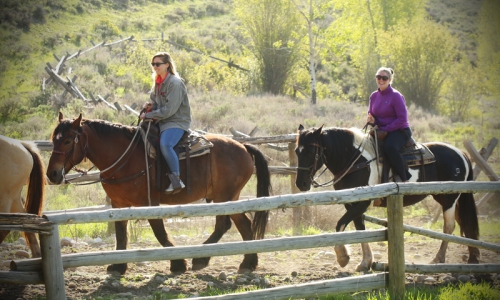 Jackson Hole Horse Pack Trips