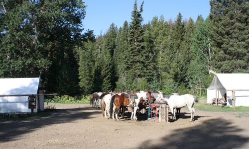 Horseback Riding Jackson Wyoming Grand Teton National Park