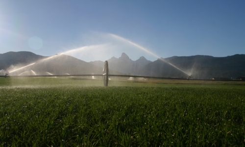 Teton Valley Idaho Farming