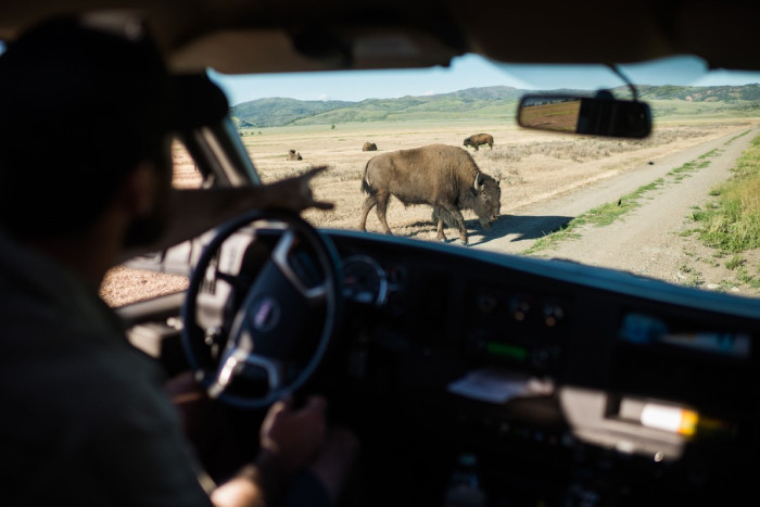 EcoTour Adventures — Jackson, WY