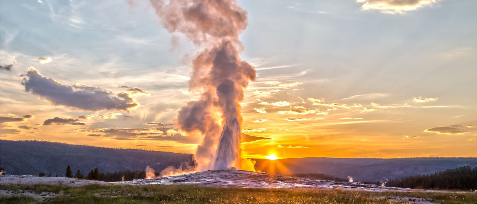 Breakfast and Dinner Safaris in the Tetons