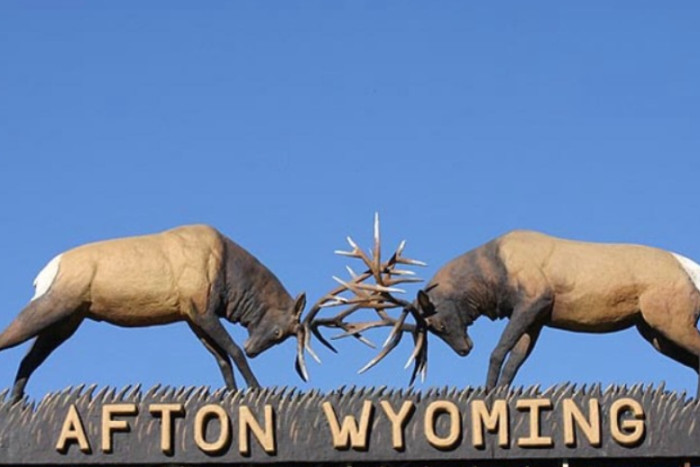 Art by Jonathan / The Bearman — Afton, WY