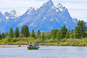 Grand Teton Fly Fishing Guided Tours