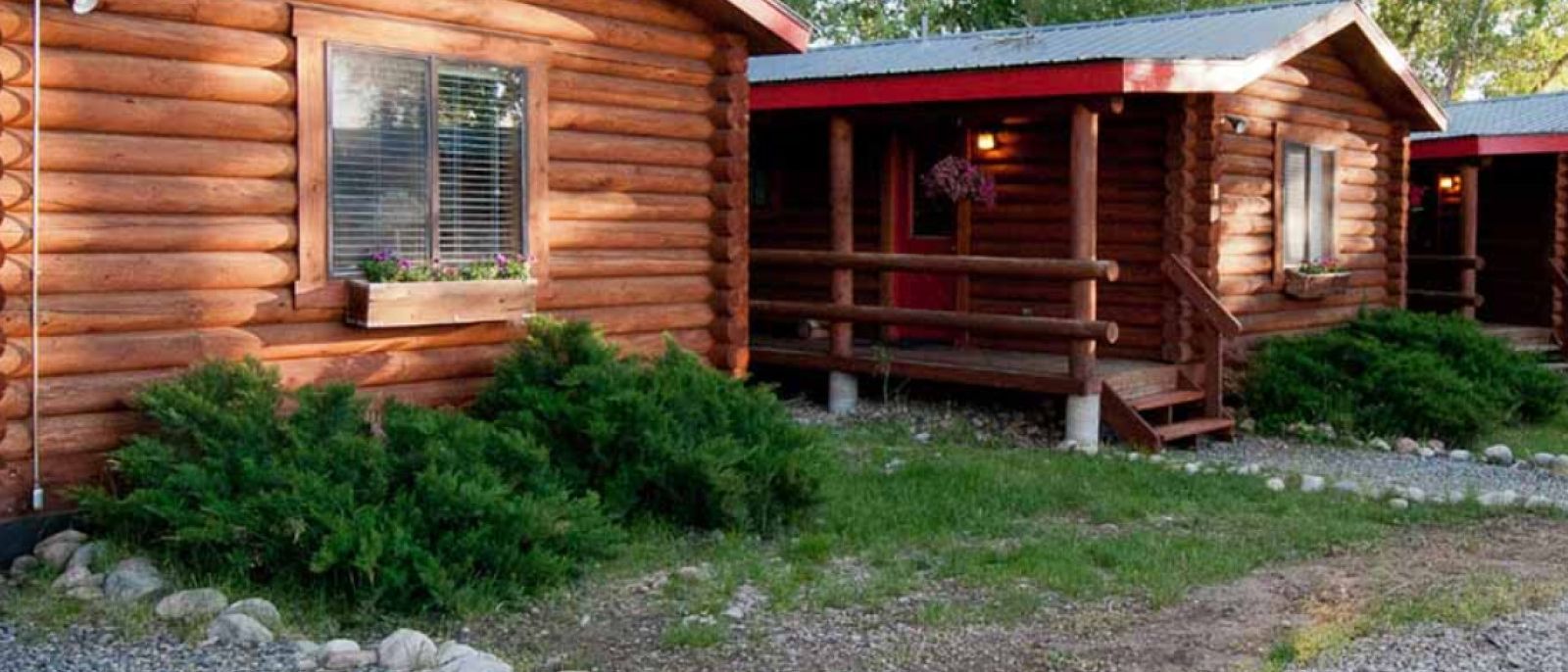 Furry friends are always welcomed at Teton Valley Cabins! Conveniently located near Teton Valley, National Parks, and Jackson Hole, these affordable cabins are the perfect place for those who are traveling with all friends, family, and even the furry ones!