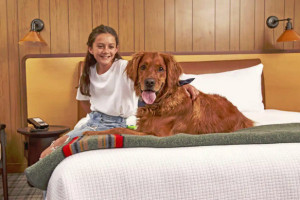 The Virginian Lodge | Dogs OK at our Resort