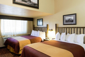 Elk Country Inn | Motel, Suites and Cabins