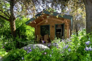 Flying Saddle Resort | in Alpine WY