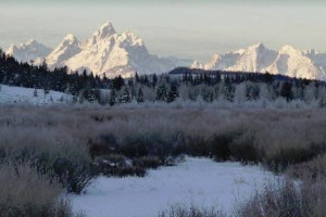 Turpin Meadow Ranch | Winter Cabins & Adventure