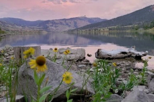 Budges' Cabins - more affordable in Jackson Hole