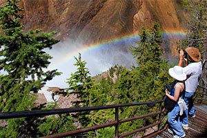 Jackson Hole Wildlife & Photo Safaris