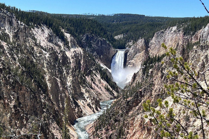 Jackson Hole Wildlife Safaris — Jackson, WY