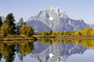 Jackson Hole Wildlife Safaris