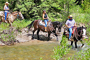 Willow Creek Horseback