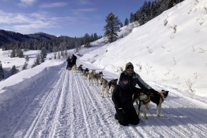 Jackson Hole Iditarod Sled Dog Tours