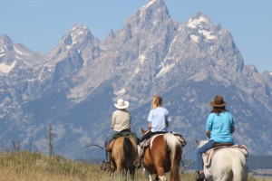 Moose Head Ranch