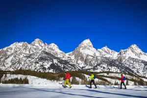 EcoTour Adventures Cross County Ski Tours