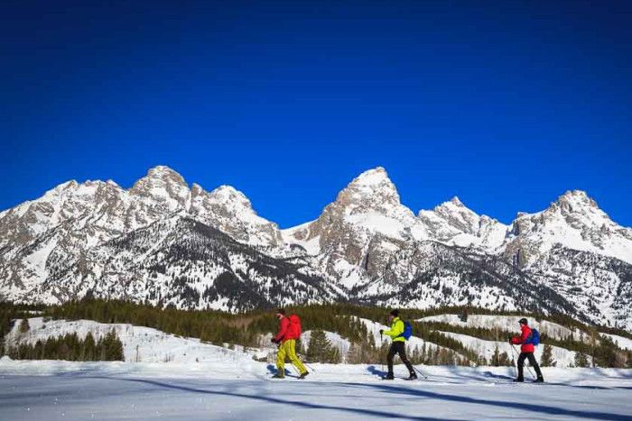 EcoTour Adventures — , 