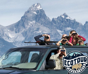 Jackson Hole EcoTour Adventures