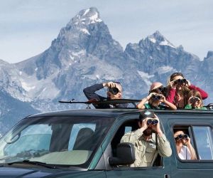 EcoTour Adventures