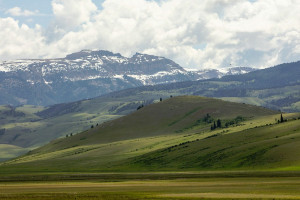 Flat Creek Inn | overlooks Nat'l Elk Refuge