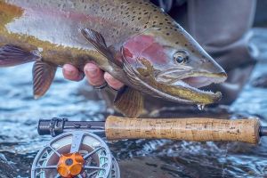 Mangis Fishing Guide Service - Snake River Guides