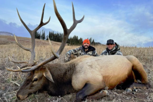 Trophy Mountain Outfitters | Unparalleled Success