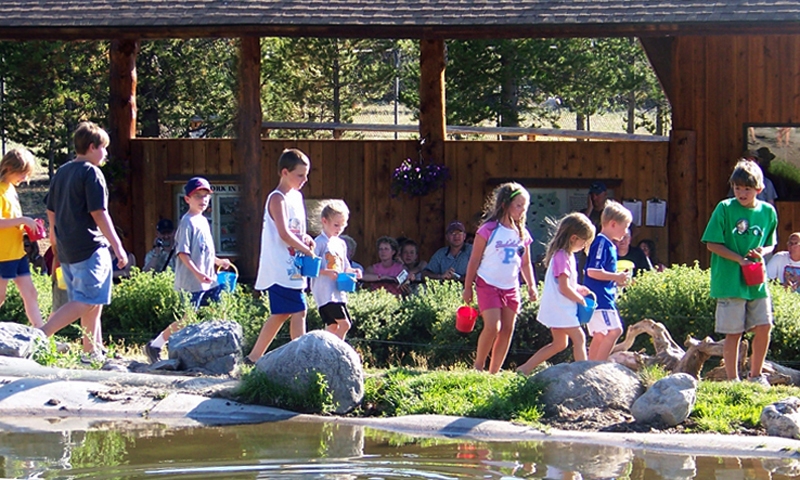 Grizzly Wolf Discovery Center West Yellowstone Montana Kids