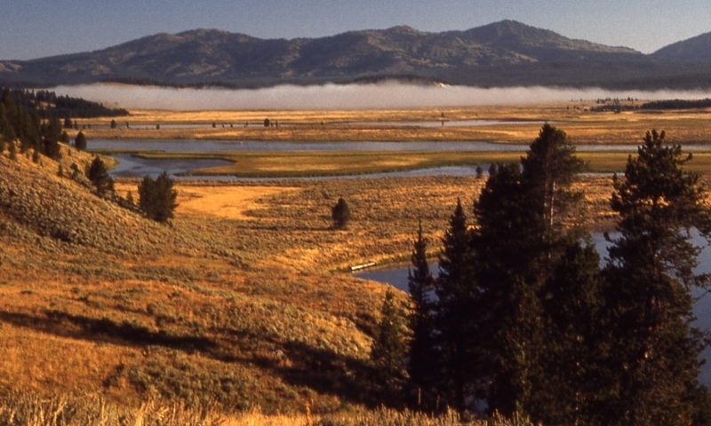 Hayden Valley Lake Village Yellowstone River