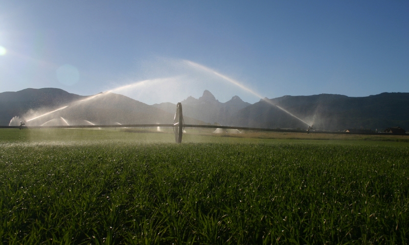 Teton Valley Agriculture Idaho