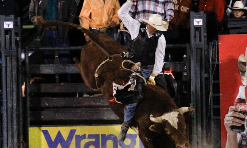 Jackson Hole Rodeo Wyoming
