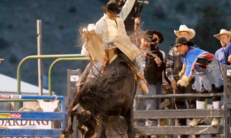 Jackson Hole Rodeo Wyoming