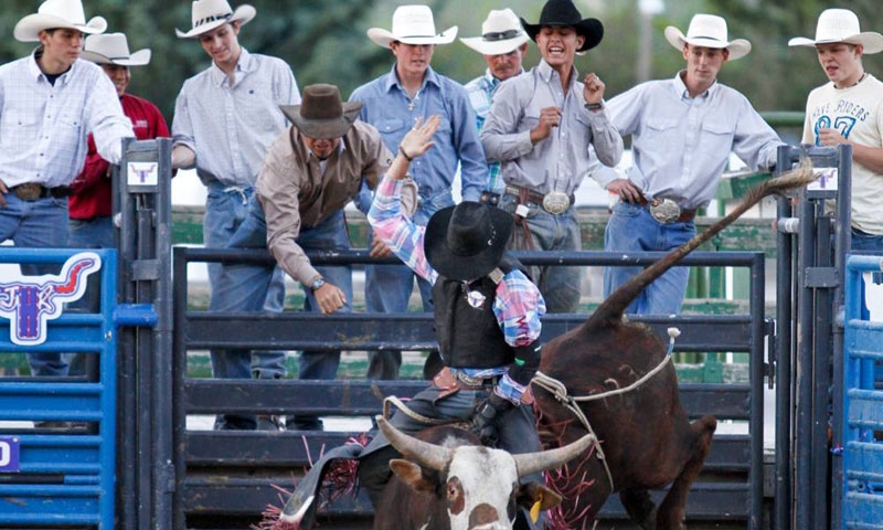 Jackson Hole Rodeo