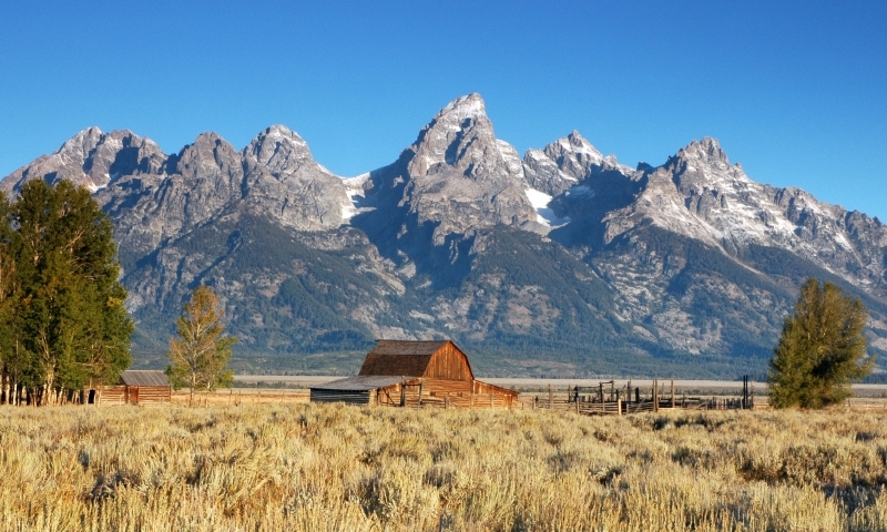 Mormon Row in Grand Teton National Park - AllTrips