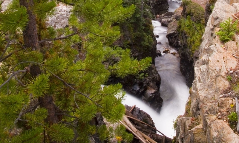 Adams Falls in Rocky Mountain National Park