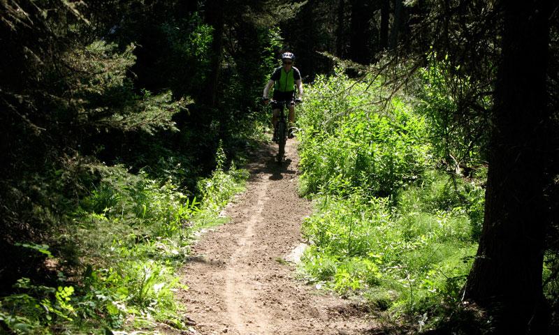 Mountain Biking the Arrow Trail in Jackson