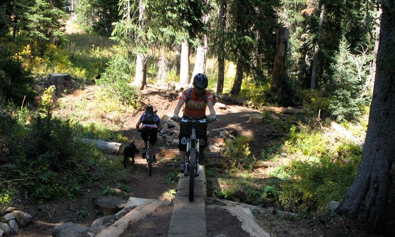 Mountain Biking in Jackson Wyoming