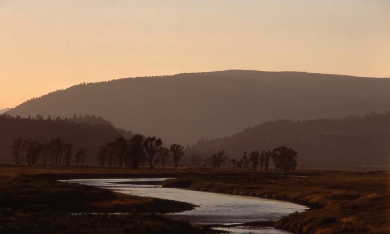 Lamar Valley Tower Roosevelt Yellowstone