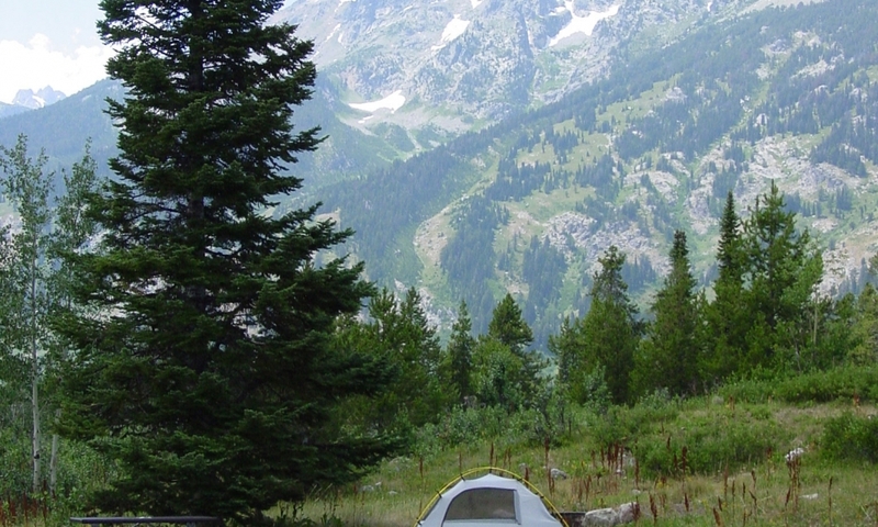 Jenny Lake Campground Grand Teton National Park Camping