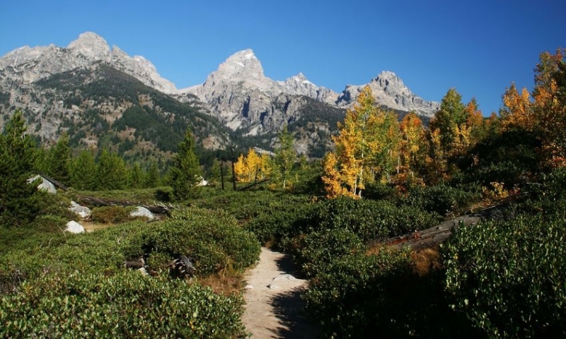 Hiking Trail in Grand Teton National Park