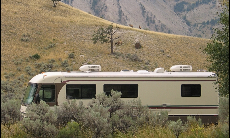 RV parked in Yellowstone Campground