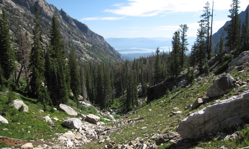 Looking down Paintbrush Canyon
