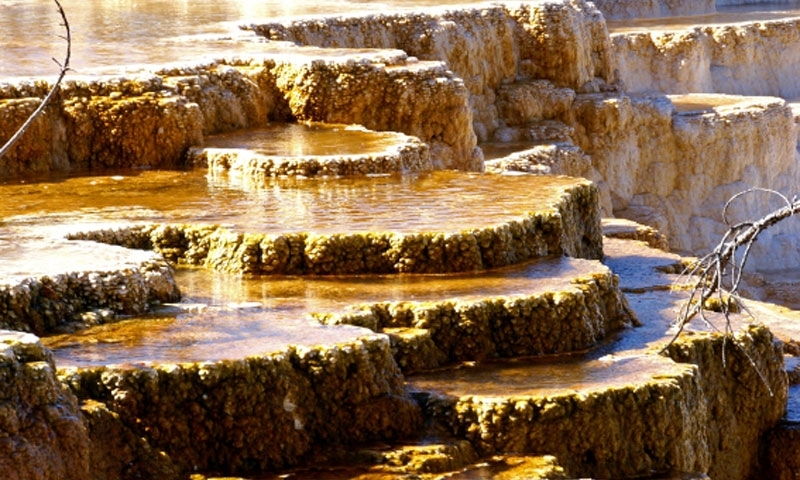Mammoth Hot Springs Yellowstone