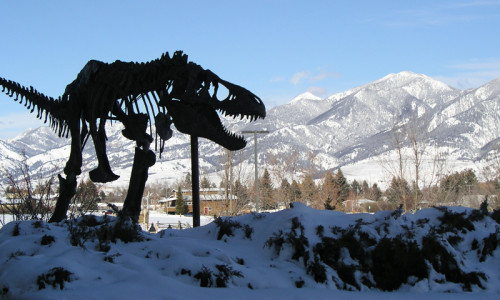 Bozeman Montana