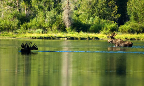 Grand Teton Park Highlights