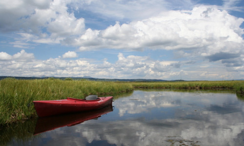 Henry's Fork Snake River