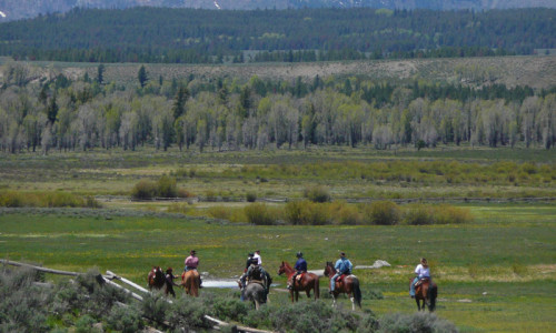 Horse Pack Trips