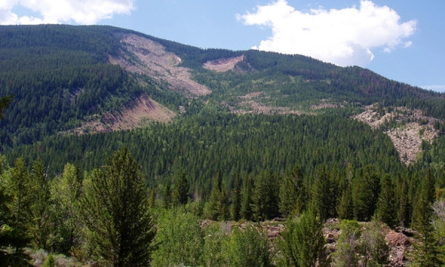 Bridger Teton National Forest