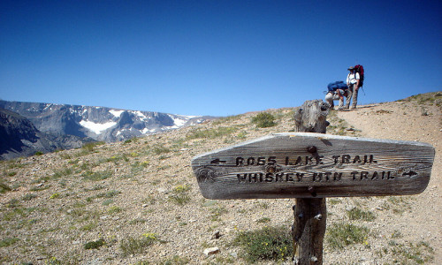 Fitzpatrick Wilderness